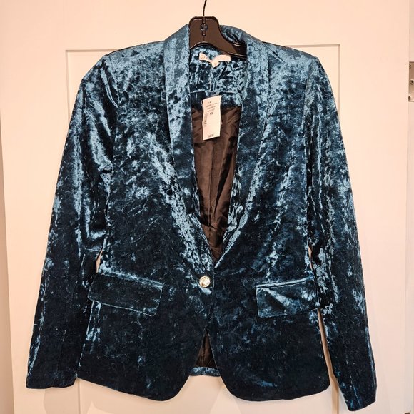 Velvet One-Button Blazer - Picture 3 of 5
